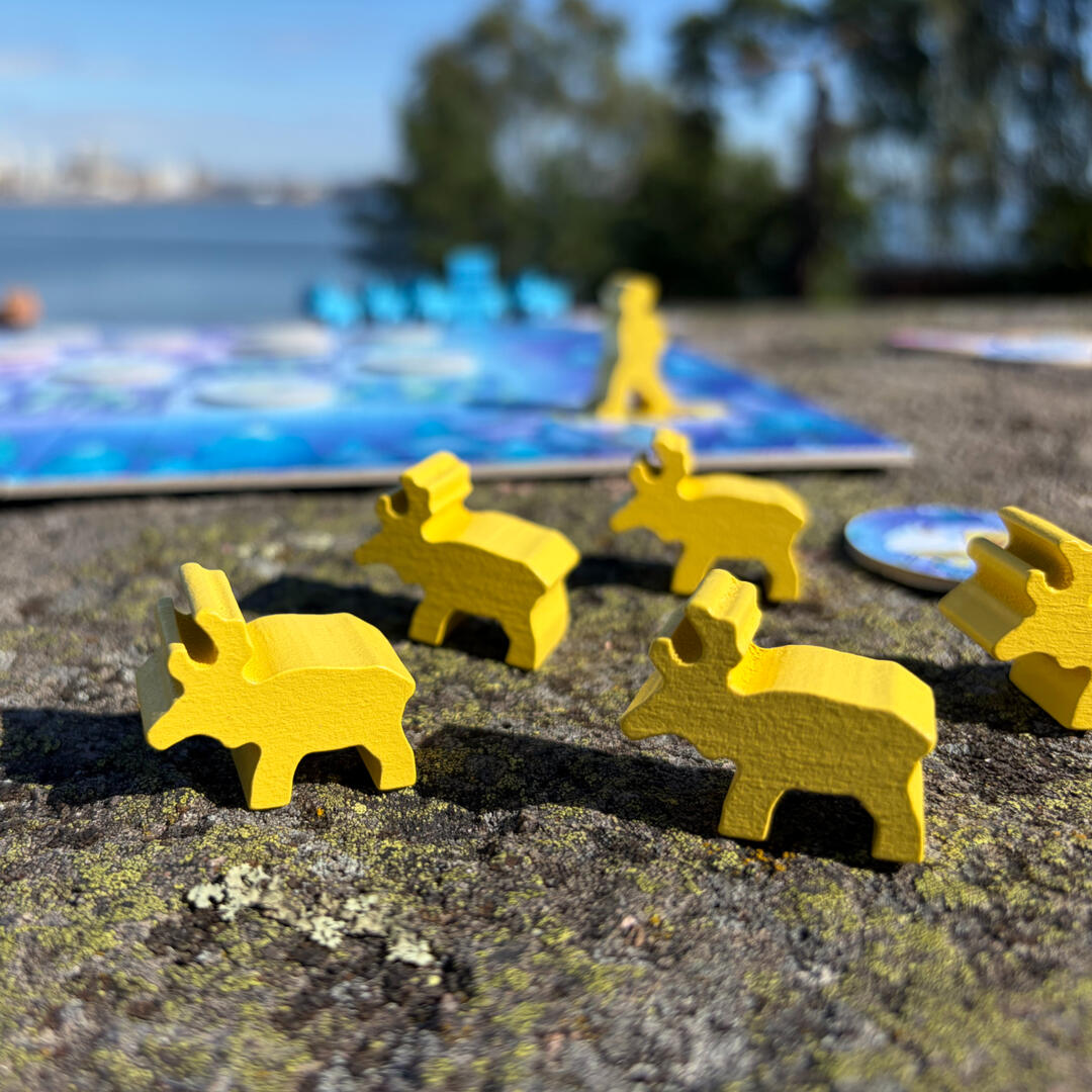 Close up photo of Porot board game in the middle of a game